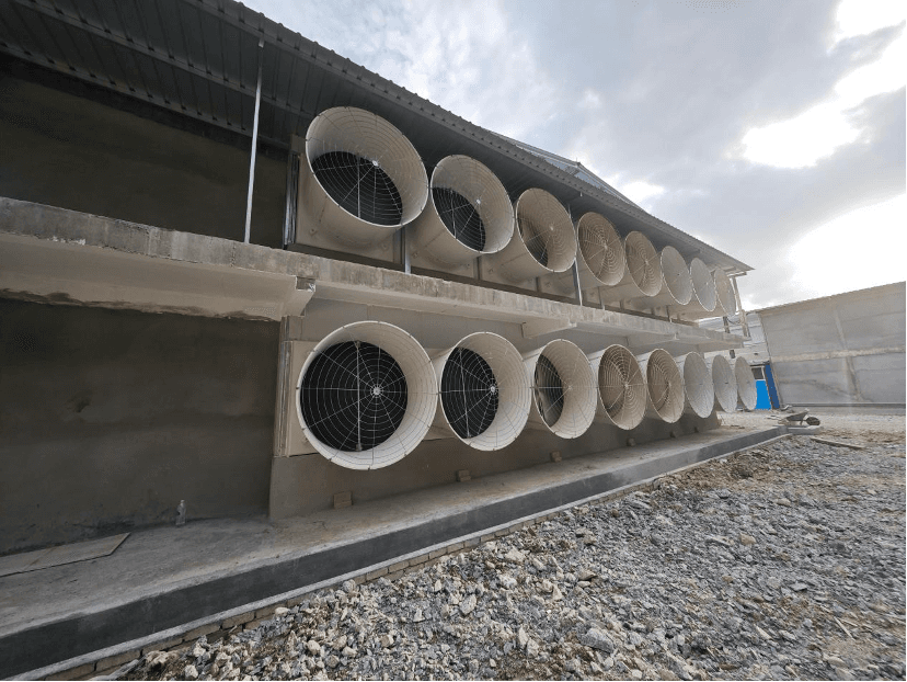 Qingdao Illinois Delivers Hands-On Technical Support for Southeast Asian Livestock Farms