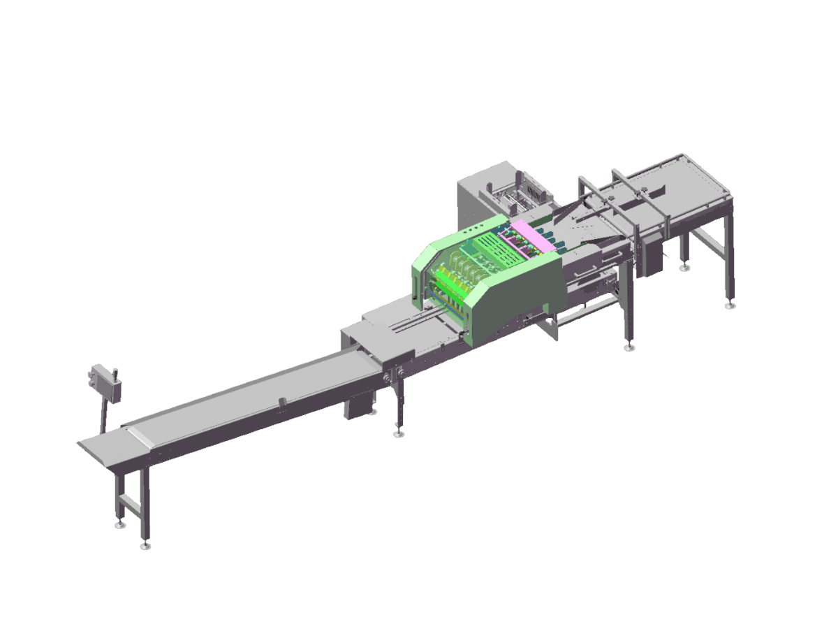Egg Processing Equipment