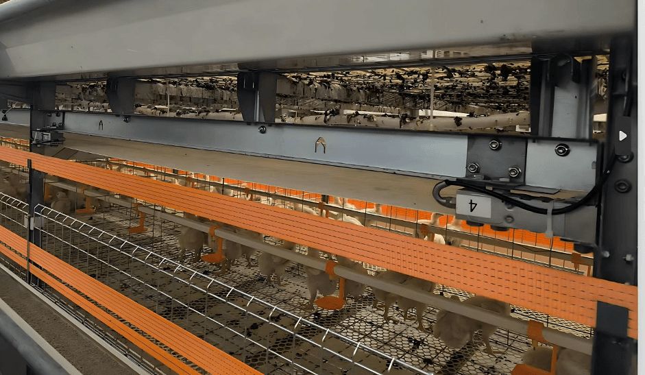 Empowering Global Industry Leaders