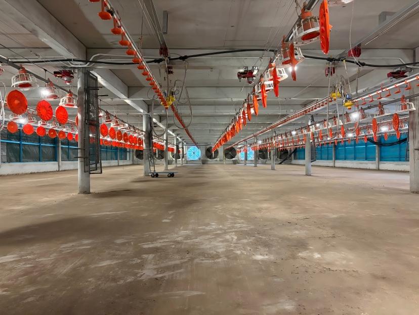How Do Malaysian Poultry Farms Integrate Smart Feeding, Climate Control and Weighing Systems