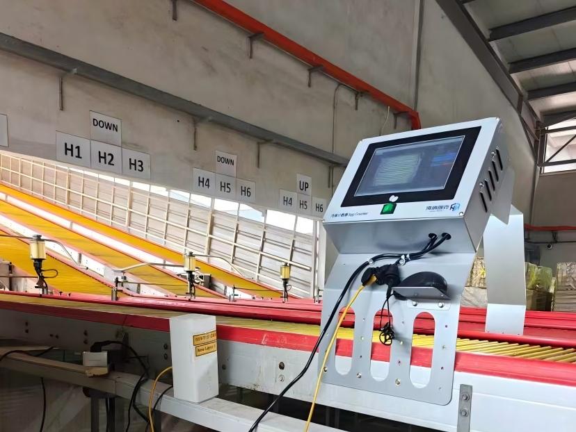 AI Vision Egg Counter for Multi-Tier Layer Farms in Uzbekistan