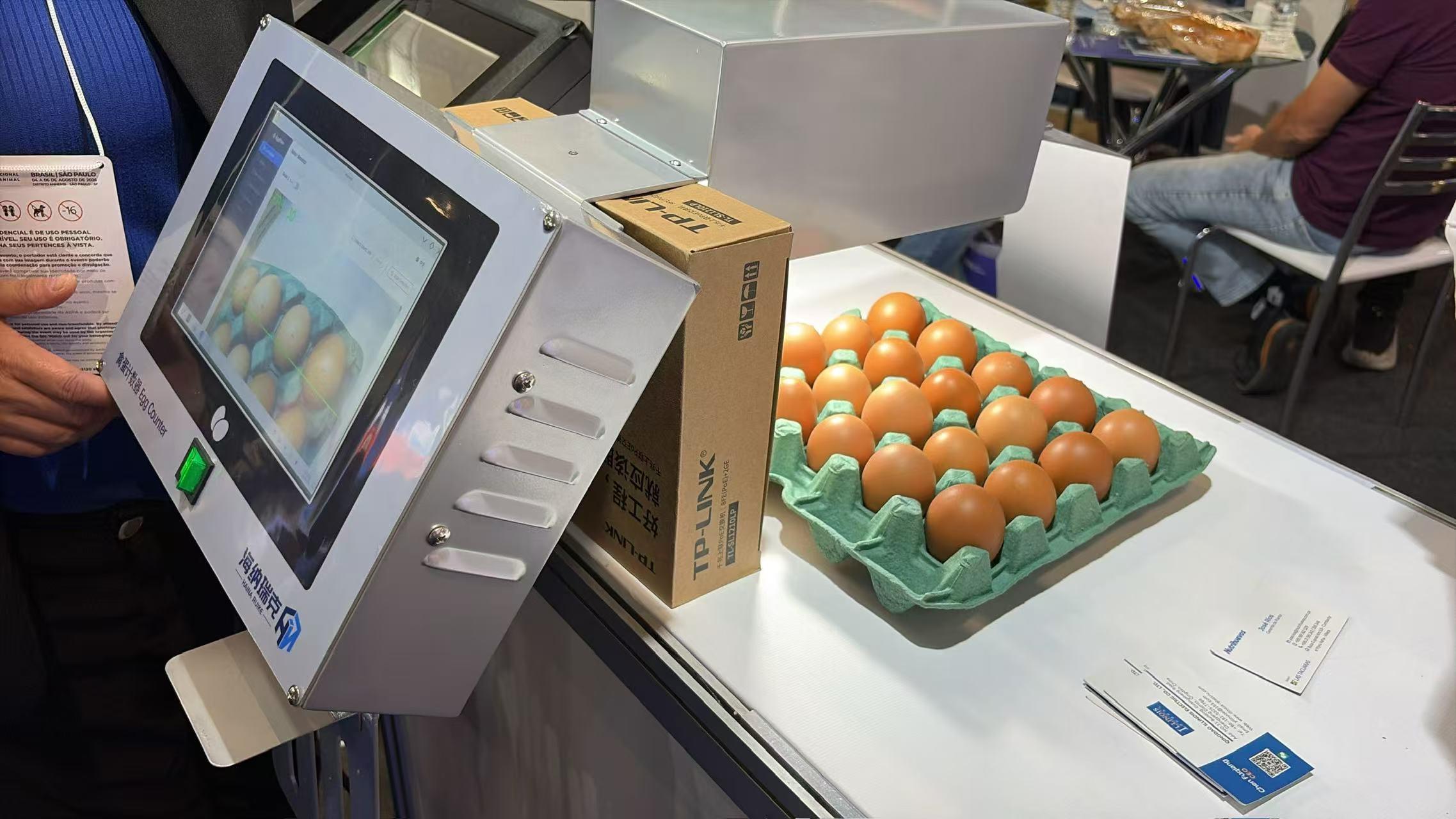 Machine Vision Egg Counter Accuracy: What Really Changes the Count on a Layer Farm