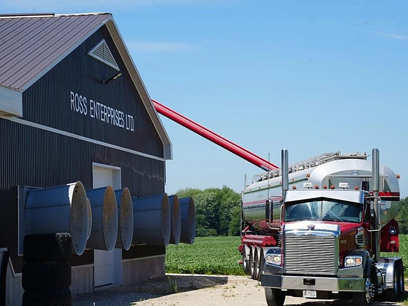 Ontario Layer Farm Visit: Right-Sized Automation Lessons From Ross Enterprises
