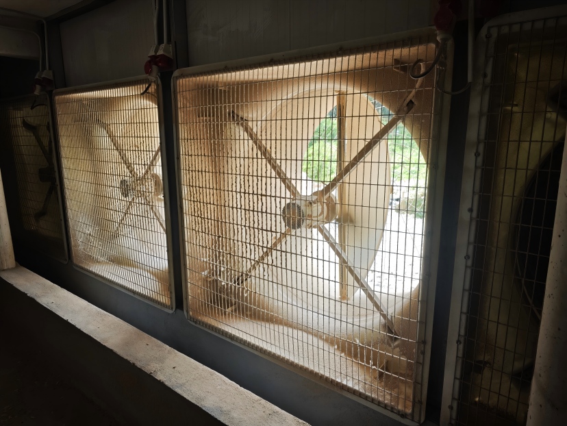 Can Poultry Growers Stop Rising Energy Costs From Eating Their Bottom Line