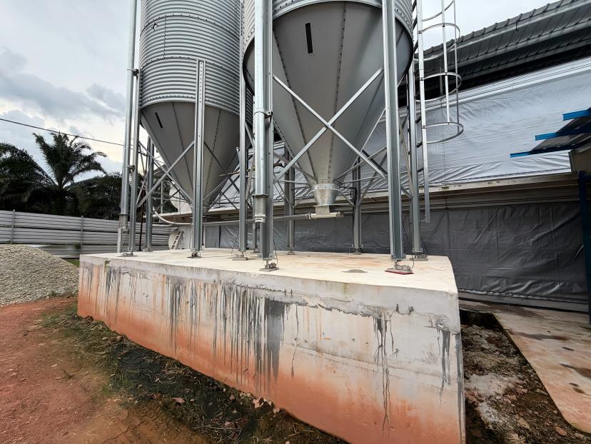 Integración de alimentación inteligente, control climático y pesaje en las granjas avícolas de Malasia