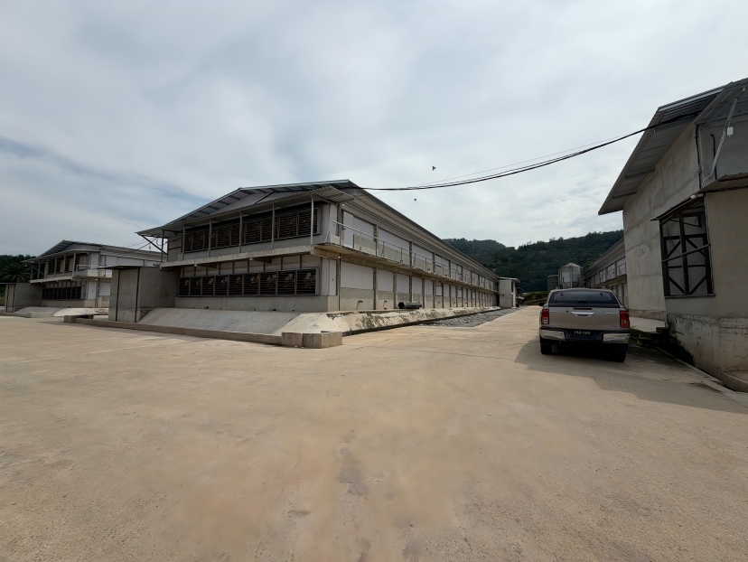 Smart poultry feeding system for tropical farms