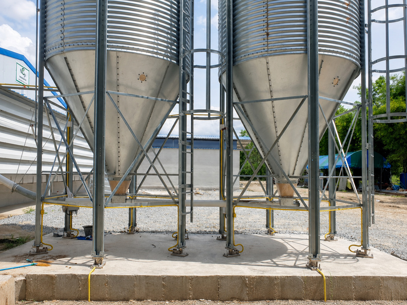 Silos de alimento sobre patas de soporte estructural en una granja avícola
