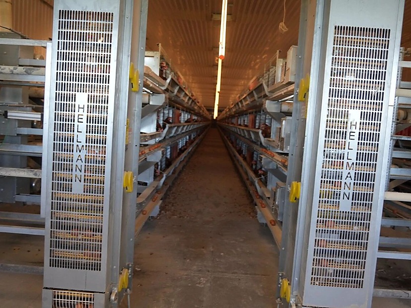 crop storage and farm infrastructure at Ross Enterprises in Ontario